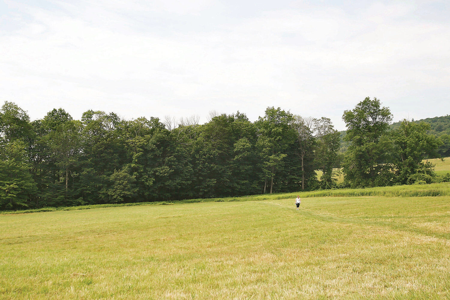 Hollow Fields vista